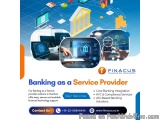 Banking as a Service Provider | Payment Service Provider