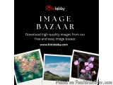 Image bazaar