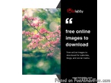 Free Online Images to Download
