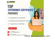 Genuine Experience Certificate Provider In Punjab