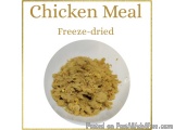 How Feeding Environment Affects A Dog’s Eating Habits