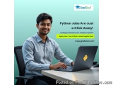 Python Jobs