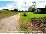 The image shows a dirt road winding through a grassy field. On the right side of the road, there is a small white house with...