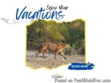 The image is a digital advertisement for a vacation. It has a white background with a yellow border. In the center, there is...