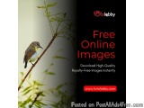 Free Online Images