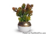 The image is of a potted plant in a white ceramic pot. The pot is round and has a metallic finish. The plant has a unique des...