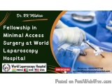 Fellowship in Minimal Access Surgery