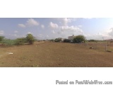 The image shows an empty field with a few trees and bushes scattered throughout. The sky is blue with some white clouds scatt...