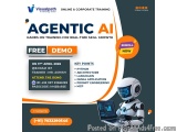 Agentic Ai Online Free Demo | Corporate Training