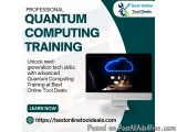Level Up Your Expertise with Professional Quantum Computing Training