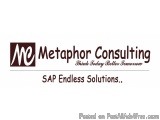 Sap placement in demanding module at Metaphor Consulting