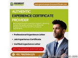 Chennaiâ€™s Most Trusted Job Experience Certificate Service