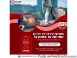 Best Pest Control Service In Indore – Safe Treatment With Guarant...