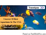 Top Best Aquariums In The Usa -travelyas