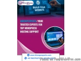 Hirewpexperts: Your Trusted Experts For Top Wordpress Hosting Sup...