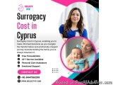 Surrogacy Cost in Cyprus