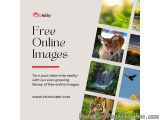 Free online Images