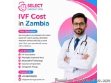 Ivf Cost In Zambia
