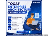 Enterprise Architecture Skills For Togaf Ogea-101