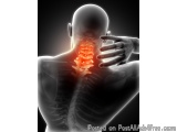 The image is a 3D rendering of a human skeleton with a bald head and neck. The skeleton is shown in a side view, with the bac...