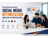 Social Media Optimization Services In Bangalore