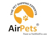 The Rise of Domestic & International Pet Travel in India