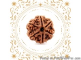 The image is a photograph of a single, round, brown-colored object in the center of a white background. The object appears to...
