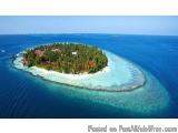 Best Andaman Packages with Flights From Delhi