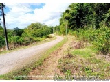 The image shows a dirt road winding through a wooded area. The road appears to be in good condition, with no visible signs of...