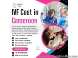 IVF Cost in Cameroon