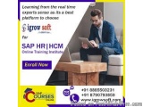 SAP HR HCM Course in Hyderabad | Igrowsoft