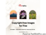 Copyright Free Images for Free