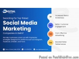 Grow Online with the Best Social Media Marketing Company in Noida