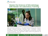 From Petri Dish To Profession – Microbiology Training Excellence