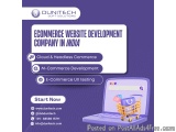 How Dunitech Soft Solutions Builds Powerful E-commerce Websites I...