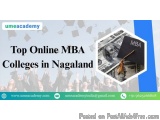 Top Online Mba Colleges In Nagaland