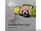 Free Online Picture Gallery