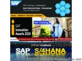 Sap live project demand module at Metaphor Consulting