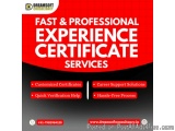 Experience Certificates Provider In Delhi