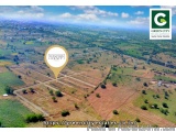 Real estate developers in mominpet