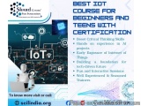 Best IOT Course for beginners and Teens with certification