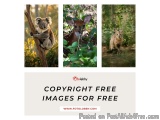 Copyright Free Images for Free