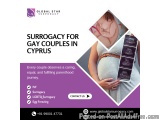 Surrogacy For Gay Couples In Cyprus