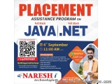 Placement Readiness Program for Java Professionals
