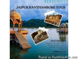 Jaipur Ranthambore Tour Explore Royal Palaces and Tiger Safaris