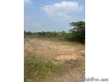 The image shows an empty field with a clear blue sky in the background. The field is covered in dry grass and shrubs, and the...