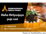 Online Booking For Maha Mrityunjaya Puja And Rahu Ketu Pooja