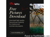 Free Pictures Download