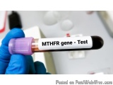 Mthfr Gene Mutation Test In Delhi