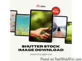 Shutter Stock Image Download